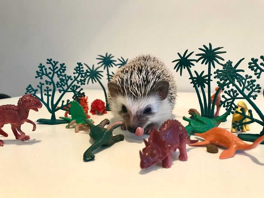 Ricky Dinosaur