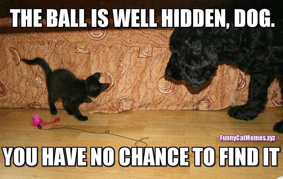 Well Hidden