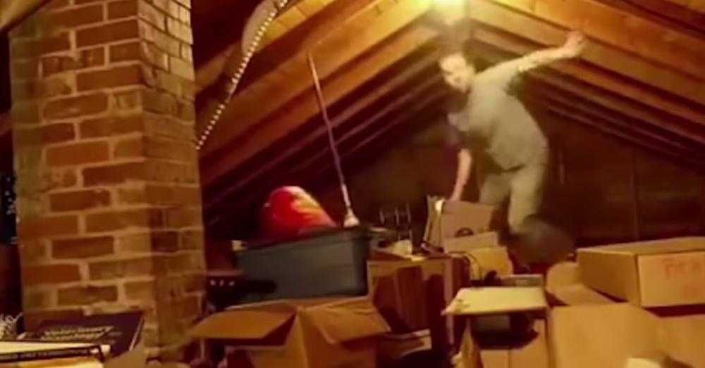 Attic 10 Lifebuzz