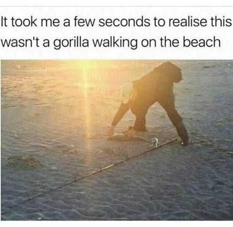 Funny Beach