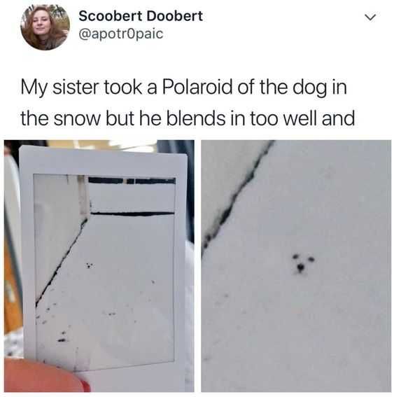 Funny Blends