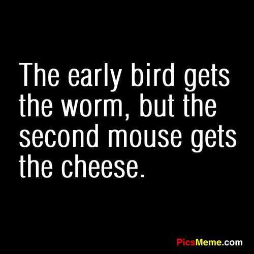 Funny Cheese Wrm