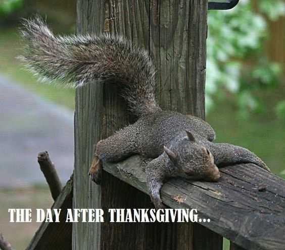 Funny Day After