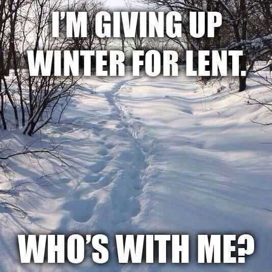 Funny Giving Up Winter