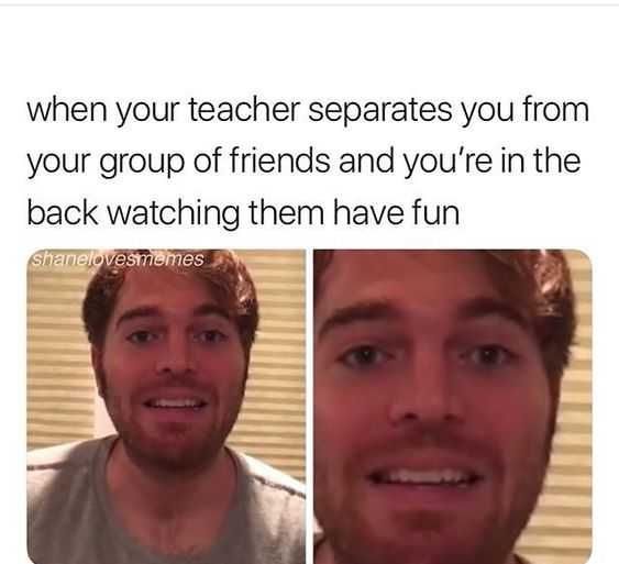 Funny Have Fun
