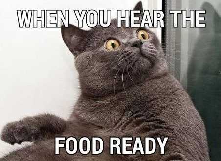 Funny Hear Fd