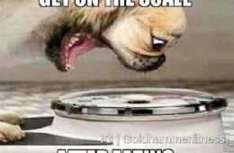 Funny Scale Day