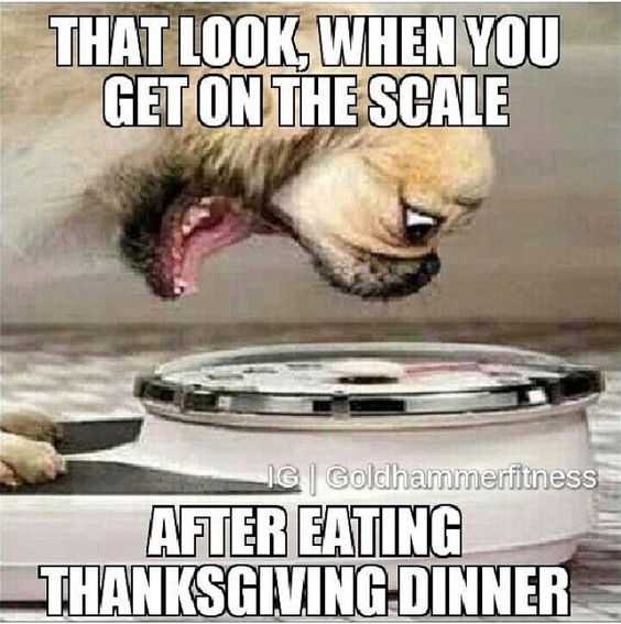Funny Scale Day