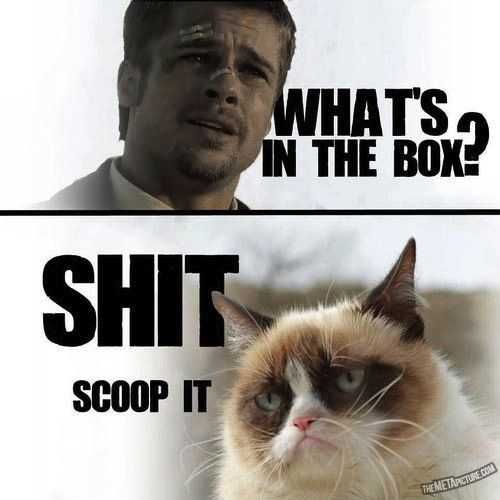 Funny Scp It