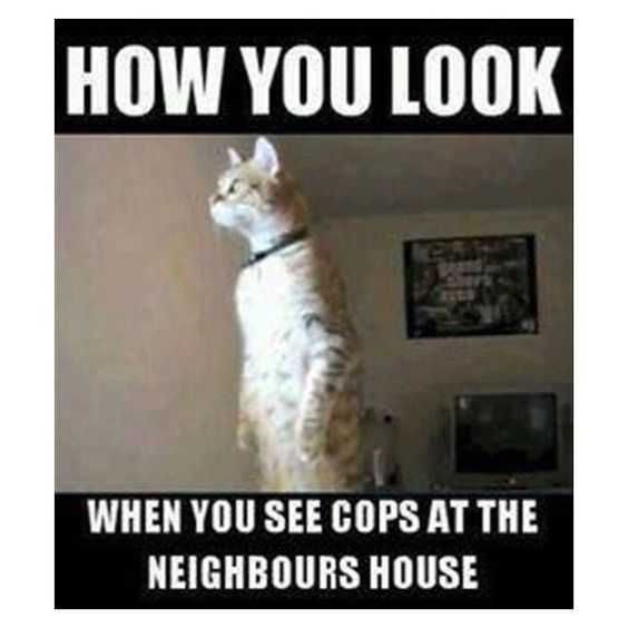 Funny When Cps