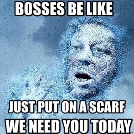 Funny Winter Storm Need