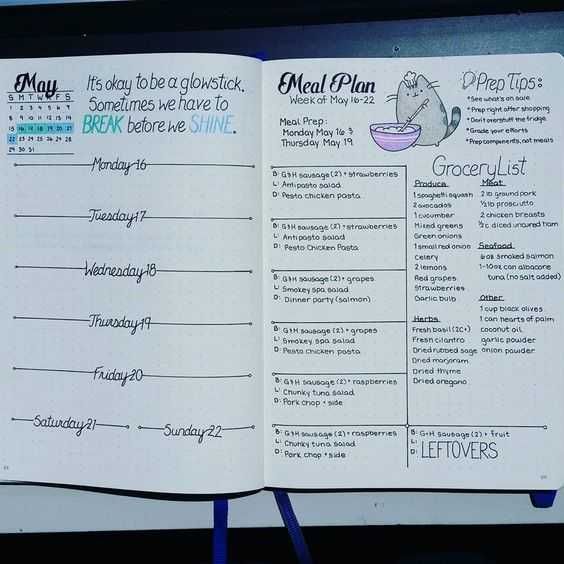 Meal Plan Cat