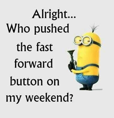 Minin Fast Frward
