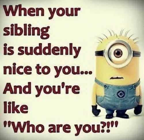 Minin Sibling