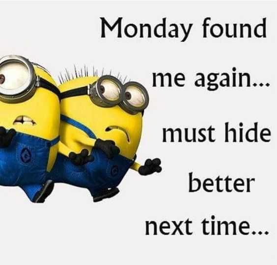 Minion Monday Found Me