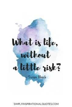 Memorable Risk Taking Quotes