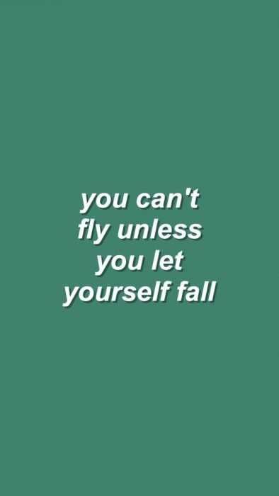 Qute Fly