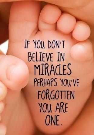 Qute Frgt Miracle