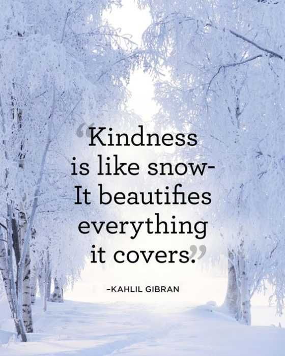 Qute Kindness Snw