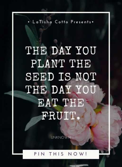 Qute Plant The Seed