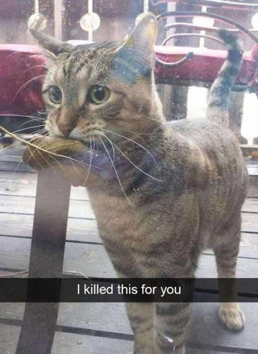 An10