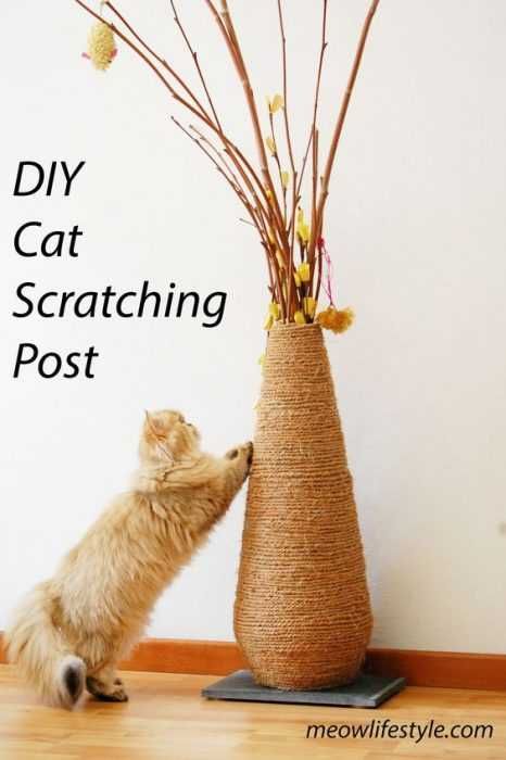 Diy Vase Cat