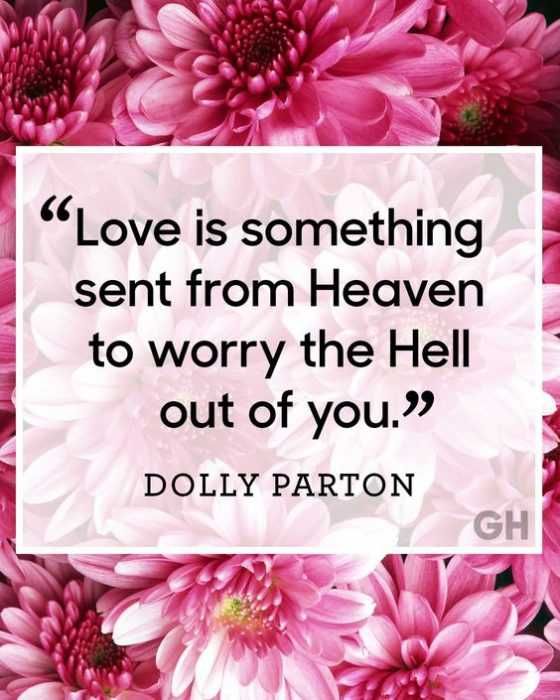 Dolly9