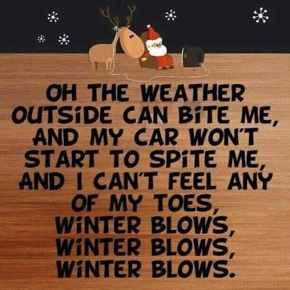 Funny Winter Spiteful