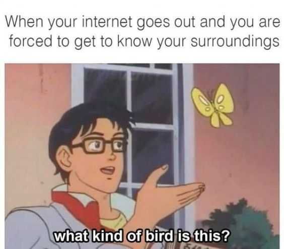 Meme17