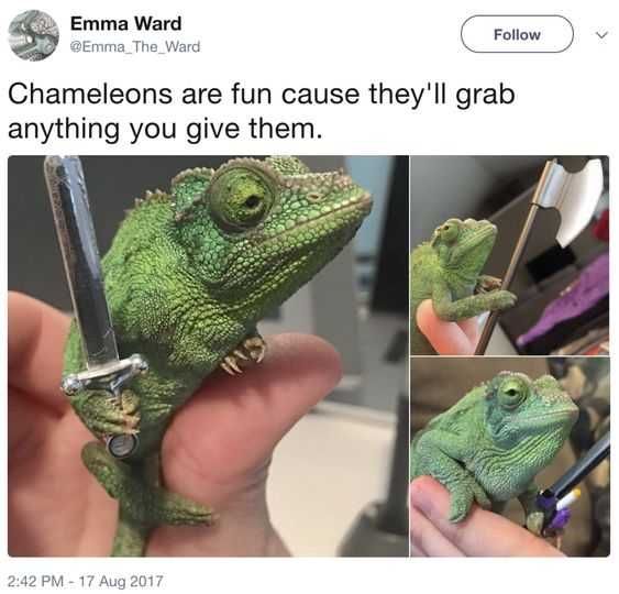 Meme21