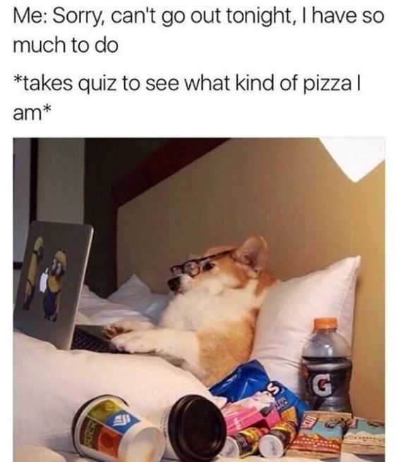 Meme28