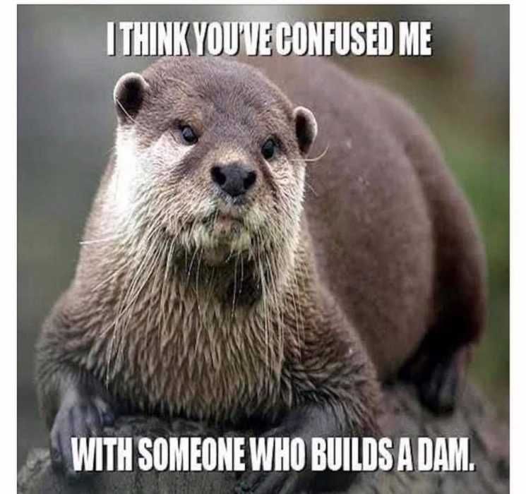 Otter18