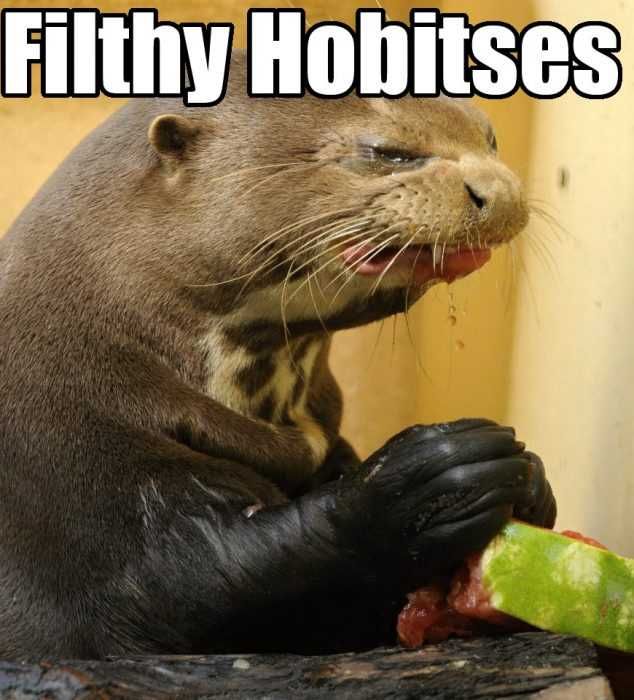 Otter4