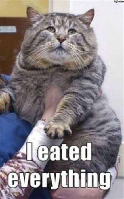 Funny Eated