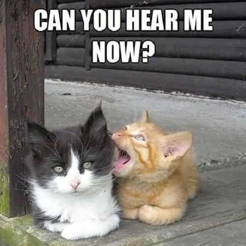Funny Hear Me Now