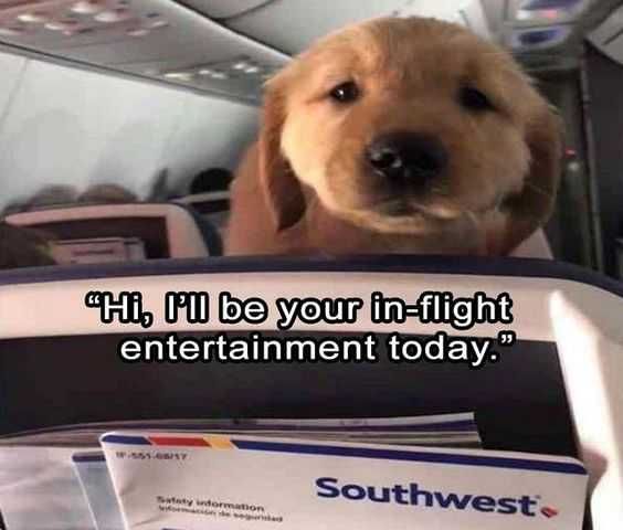 Funny Inflight