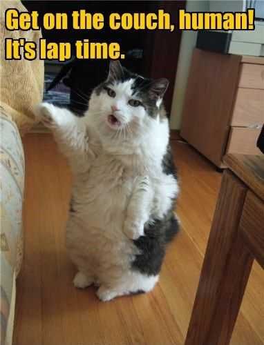 Funny Lap Time