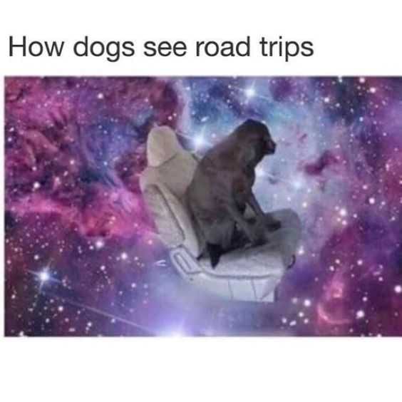 Funny Radtrip