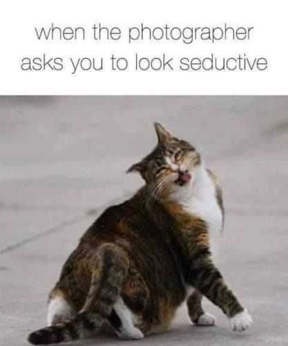Funny Seductive