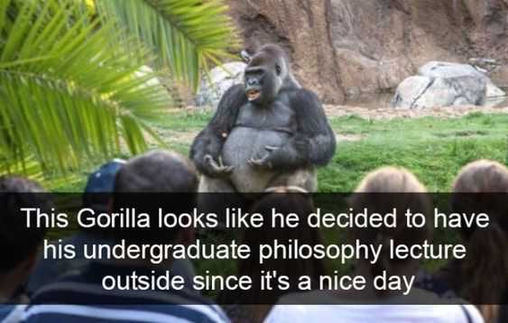 Funny Snapchatgrilla