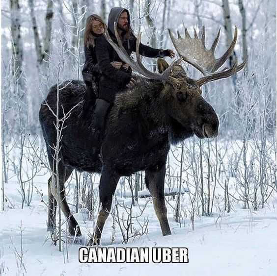 Funny Ubercanadian
