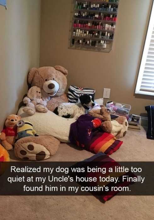 Funny Uncle House