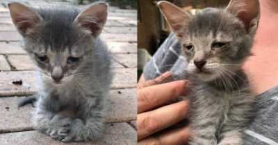 Woman Adopts