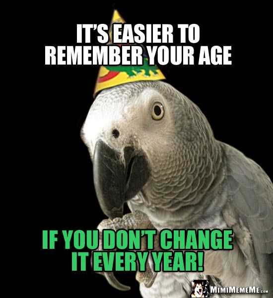 Bird4