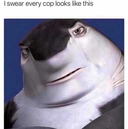 Funny Every Cop