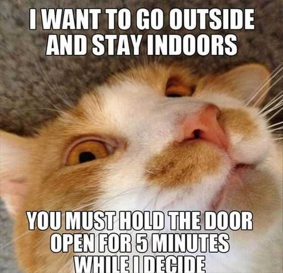Funny Hold Door