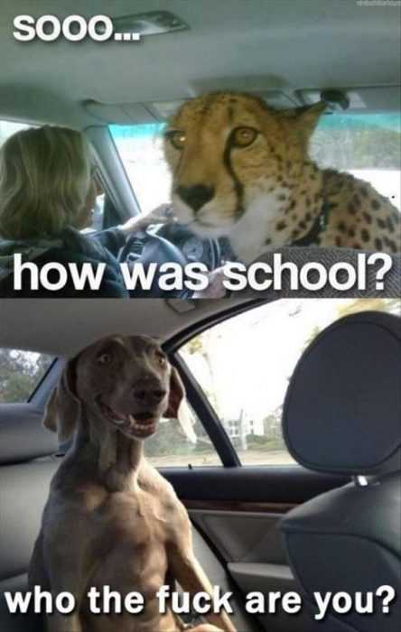 Funny How Was School