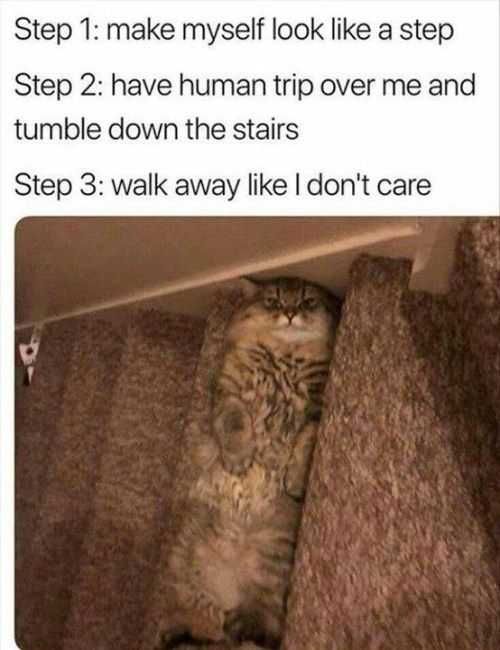 Funny Make Myself Step