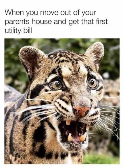 Funny Utility Bill