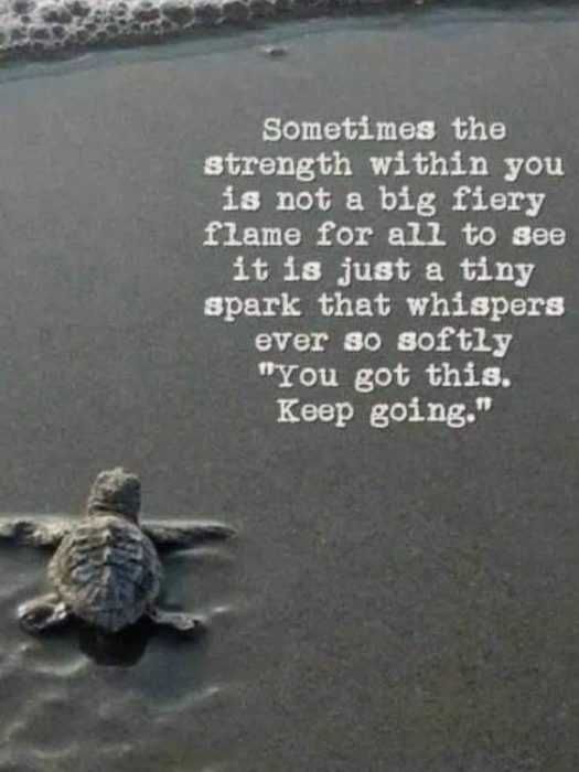 Quote Sometimes Voice